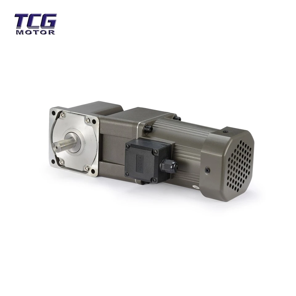 Motor Gear Ac Tork Tinggi