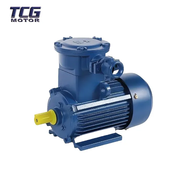 High Voltage 3-phase Asynchronous Explosion-proof Motor
