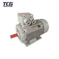 Motor AC Proof Ledakan Voltan Rendah